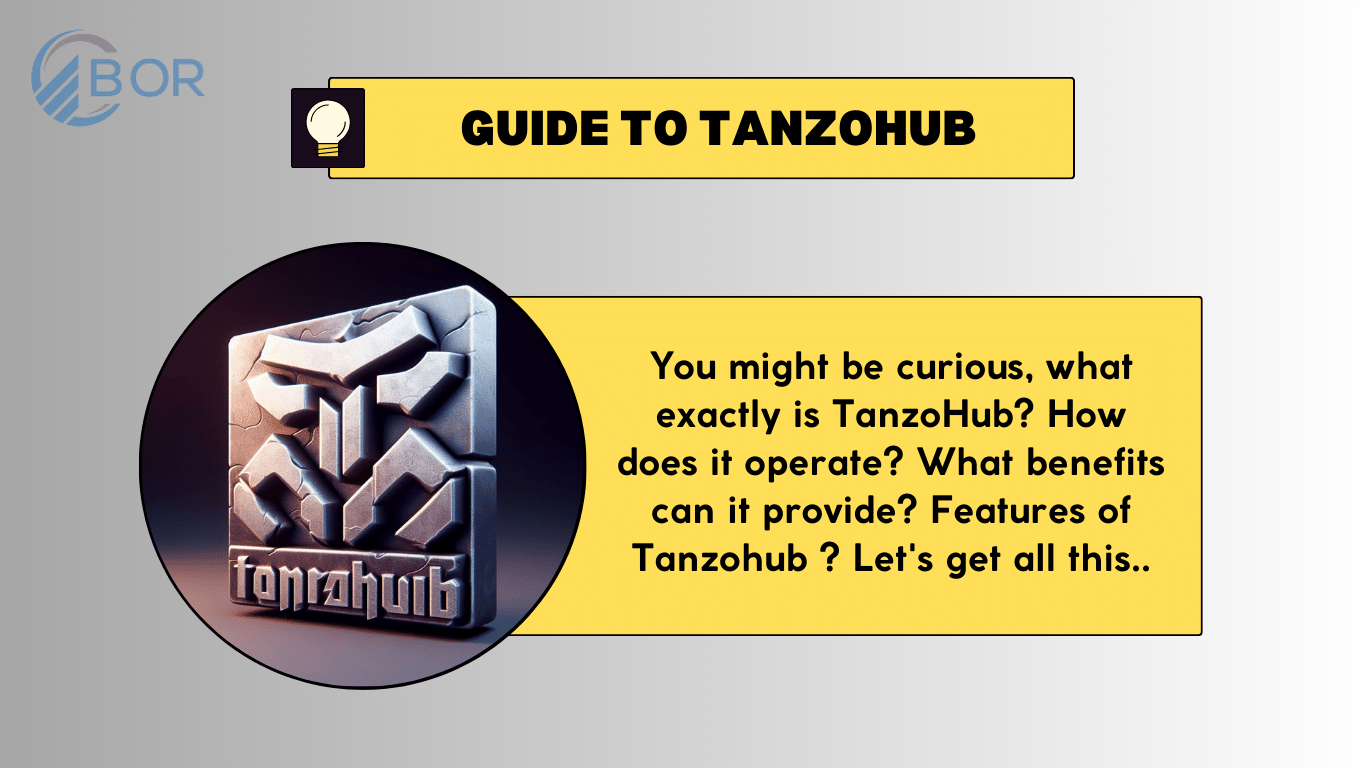 Guide to Tanzohub.